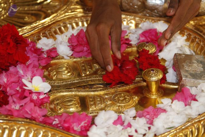 20130625 Photo 1075 1wFUmmaATZWCkJbxhaR9l3Lz7TGY5ApRh.JPG