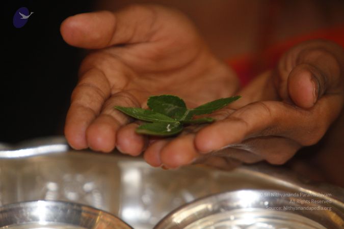 20130625 Photo 1121 1F7u36dLjqruIGU2CP6USFZ5FmihhURfD.JPG