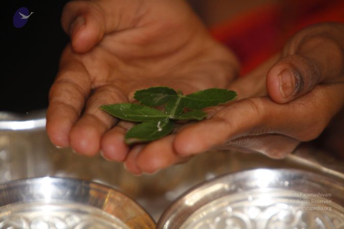 20130625 Photo 1122 1s0lilFWISzbQmPMDAVWxfI21c33er ja.JPG