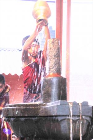 20130626 Photo 1007 1BvxRM3WPxBb5i-mhKOuMzLGHbzjJxyxW.JPG