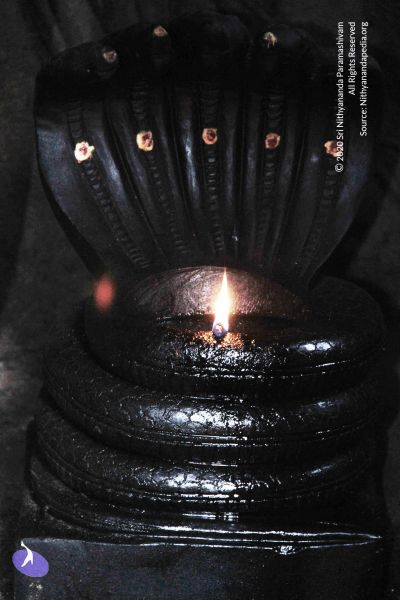 File:20130628 Photo 1022 1D YM9c2e2I590BSWK6tTz lgfmDI-XFf.JPG