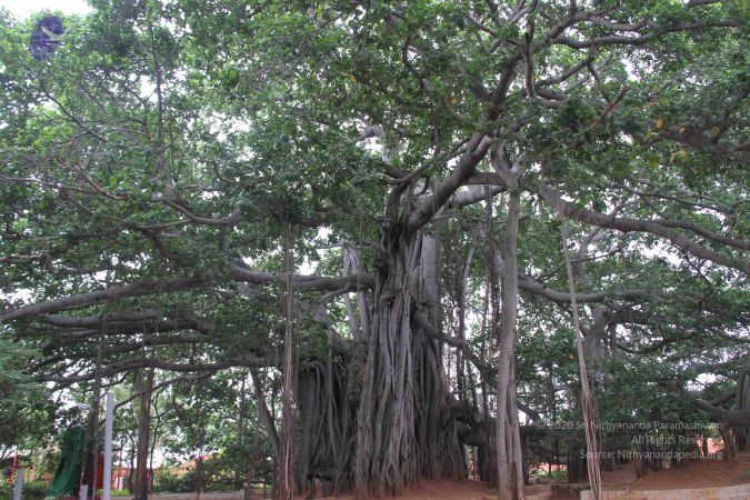 20130628 Photo 1032 1j60NCHFUbxuEo8M5OdGD9wtwbm8bJGAr.JPG