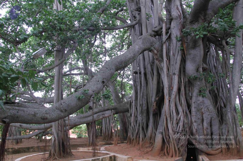 File:20130628 Photo 1037 1m8e-IA1GQFUn95Wvz31XWtC2p1jRzWW2.JPG