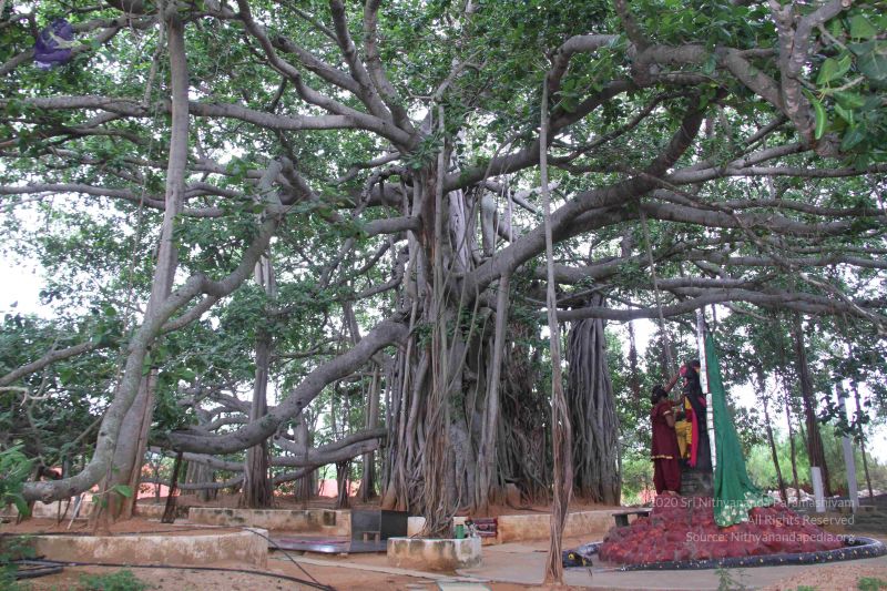 File:20130628 Photo 1038 1khcI3Mqxf lH7dYWoU5Ois7t7U2mbras.JPG