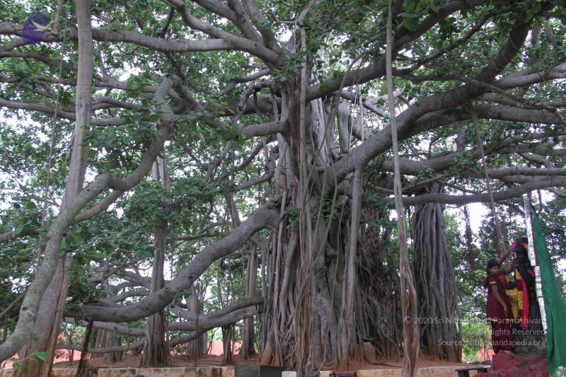 File:20130628 Photo 1039 1epjVnmltHDaXsLkBNyrHr5O8Os5RHoP0.JPG