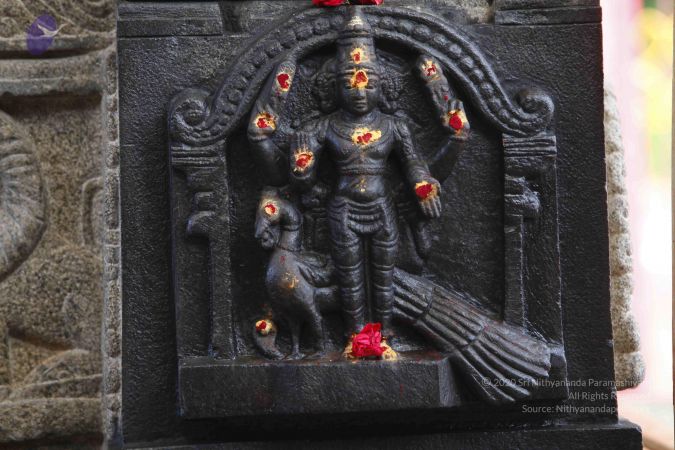 20130629 Photo 1047 1bUR2kxsJ0NzjRSeLH4BeLrDktTmvjZnd.JPG