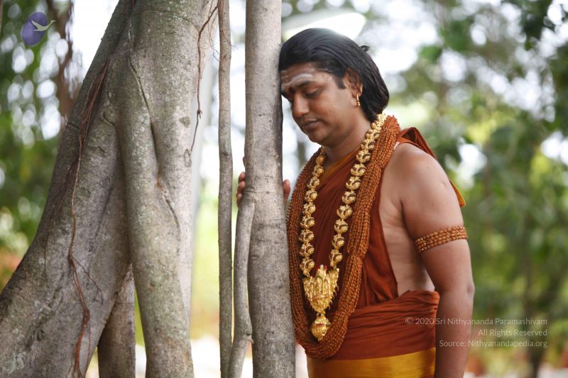 File:20130702 Photo 1024 1esbYwZntr8VkwNhT8jkvE qUOsD9HeK .JPG