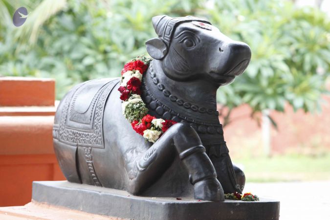 20130711 Photo 1013 1UhSbu3PnqaN96ZwON2jdZLNDRvlQOUrf.JPG