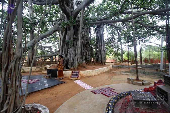 20130711 Photo 1034 1WI2-XUw5LnNaIIrp gAryNeNFr04aT22.JPG