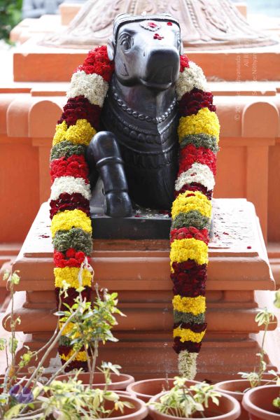 File:20130712 Photo 1006 1Pp8 mUkzZnLfXaSlPd-SngsFABxfSrcV.JPG