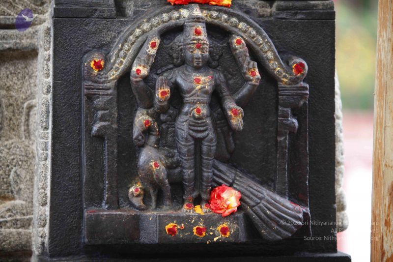 File:20130712 Photo 1010 1BjMFBEuGQtixE13Ht31EjP9YWCZCwILx.JPG