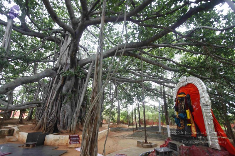 File:20130712 Photo 1038 1dYliXUoM3V7-9k7Q8zal8uk0DTuBtPlU.JPG