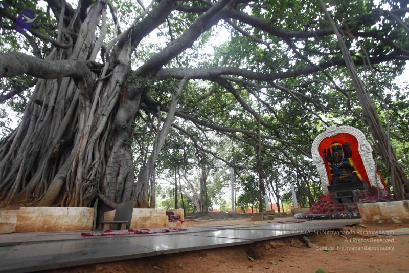 File:20130712 Photo 1039 1027316AAcXCMO-sKnDBe55ooQGKEoLsE.JPG