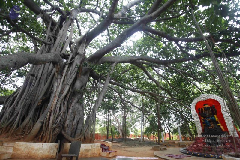 File:20130712 Photo 1040 14JaqKfajExA6rxQAdHGD9VlC63v7EleP.JPG