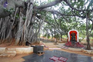 20130712 Photo 1041 1gR 23DJx4mxVbtK-DdncHSMzJdfbQ8h2.JPG