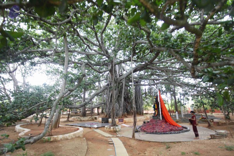 File:20130712 Photo 1042 1J9KThNCK6PP-OQq4GbQou43C6UMEbenc.JPG