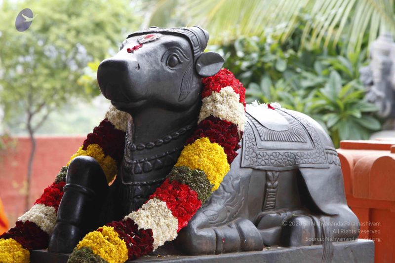 File:20130712 Photo 1053 1KQNp6uXiLeq2i9n99mgKOlpcjR6FzMaG.JPG