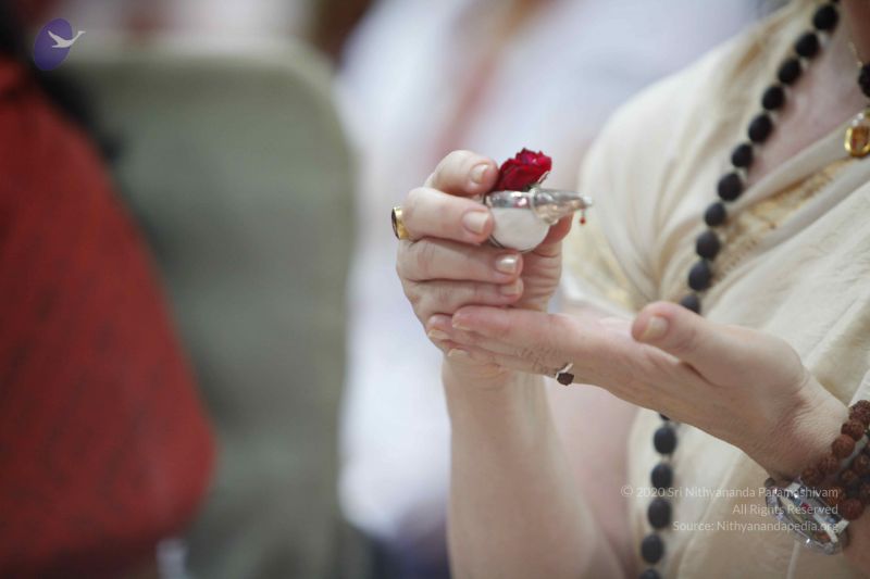 File:20130712 Photo 1068 1feUfoXzjdpvvDoWWwZ9GByyZDV0uFd-7.JPG