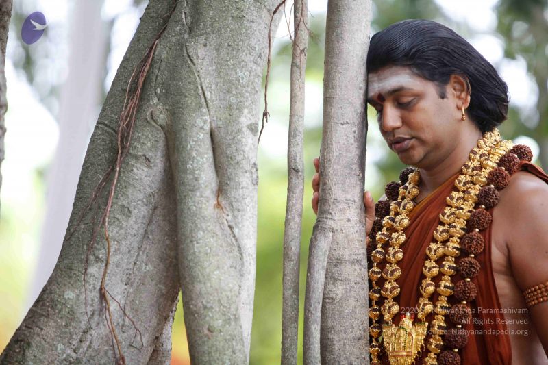 File:20130712 Photo 1074 1WoFOPz-mfB-AQWfeB3wBkyX-HkPq82Ku.JPG