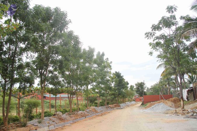 20130713 Photo 1101 12dGbTnql1EQQWBDivglbWuWdVeciU11Z.JPG