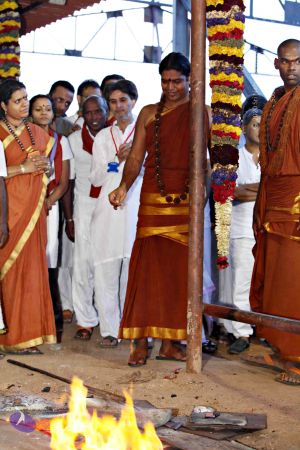 20130713 Photo 1429 1Hxl0LrPdb5xH9FRoXfu2lw3yeEqSKNGA.JPG