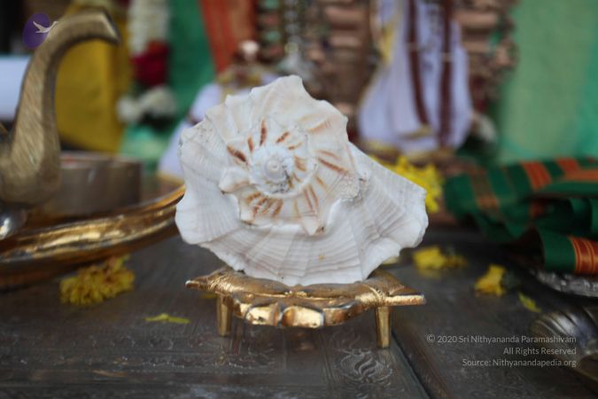 20130716 Photo 1013 1FL7-yxK7hPBMFjhhD S0AepHEMakUH4R.JPG