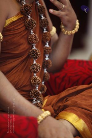 20130717 Photo 1118 1cR8-7FWC6OT3VWrG9Z2wc3iFoLALzl7B.JPG