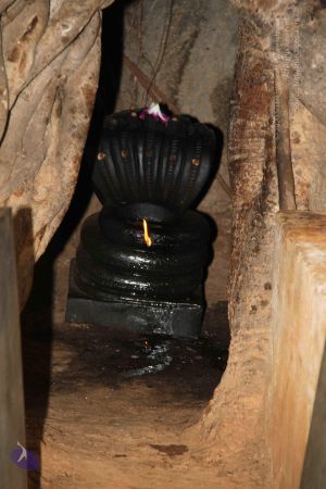 20130720 Photo 1098 1h7gzsx2EF96LBDwDE7A6CkFhUwojNzIJ.JPG