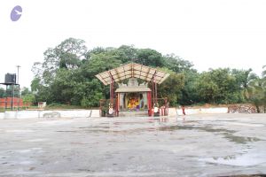 20130728 Photo 1035 1HDZxM02EJet43S-P-WZvAHE-8niMrrtR.JPG