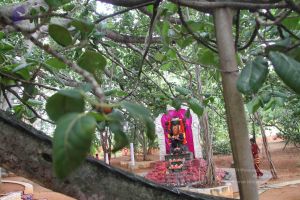 20130728 Photo 1055 1ppndln8iyIdtmvwtvxn8qHJPk54ZqAoc.JPG