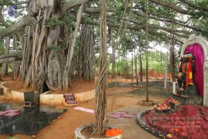 20130728 Photo 1059 1QPOu TkoZN3z4bnOmkdeAUtH0CLVPefx.JPG