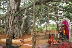 20130728 Photo 1060 1F7PxY6P I4wKRZT6vOFwdoKaeOtb2sS5.JPG