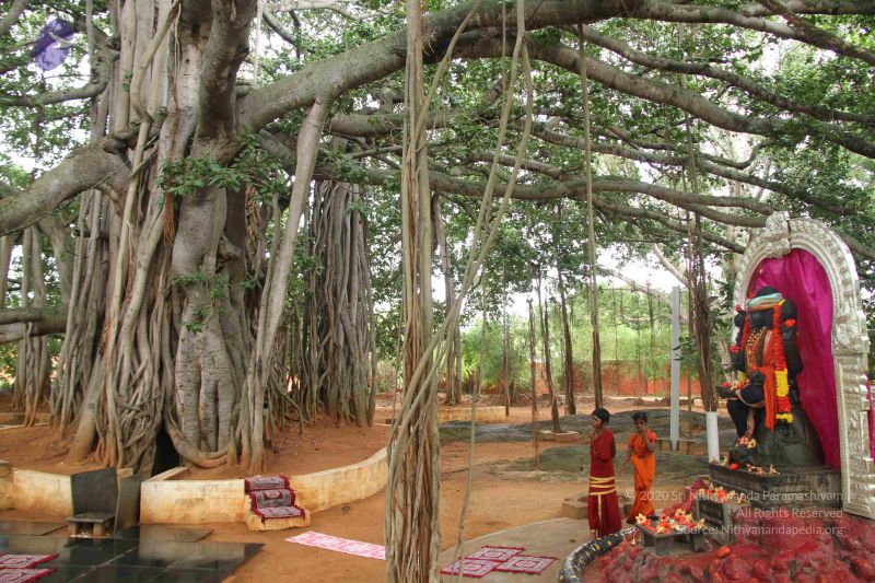 File:20130728 Photo 1060 1F7PxY6P I4wKRZT6vOFwdoKaeOtb2sS5.JPG