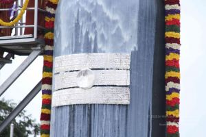 20130729 Photo 1010 1ftW8FlWVupfbxLPZSyCNObCTSZCe3Ian.JPG