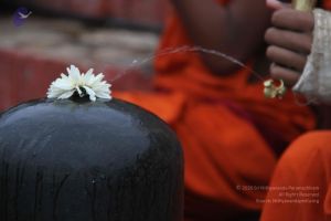 20130729 Photo 1035 1bebs9S7ms7v2QxgSolTCNfII-EQNoHXM.JPG