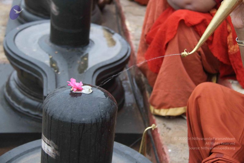 File:20130729 Photo 1052 1G-7wgwGuqOO9f01lFDo-V9cw7sCHF6vE.JPG