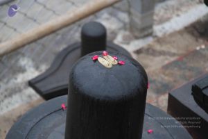 20130729 Photo 1056 1htPlX82GzGuVXXGP32taQROQoxTZn3Xk.JPG