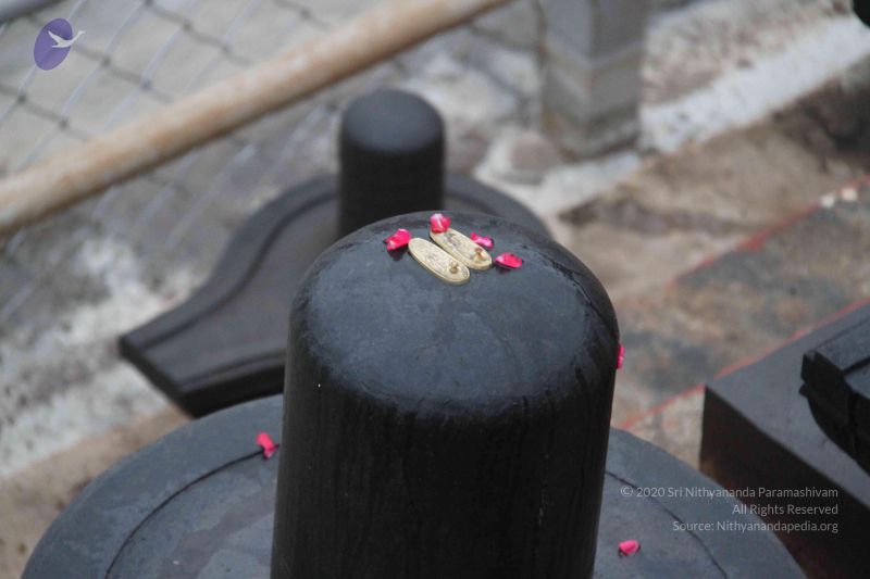 File:20130729 Photo 1056 1htPlX82GzGuVXXGP32taQROQoxTZn3Xk.JPG