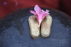 20130729 Photo 1058 16pYSC HYmMWXkbCnSw-sbhef4hbHY4Y4.JPG