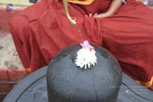 20130729 Photo 1062 1SS0rkGgpnfH305AjDzGmSbmqtivL7jrI.JPG