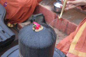 20130729 Photo 1063 1gHdDLsfWq9UBU75Qk90yeQmS7FboGMaG.JPG