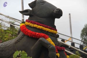 20130729 Photo 1108 1Mq4 SvSxE86WieO7xvM1wHU6kpw7E0Sy.JPG