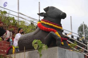 20130729 Photo 1110 1Iq3nVQOBIwl96HNoFyAXioe0r oecNdu.JPG