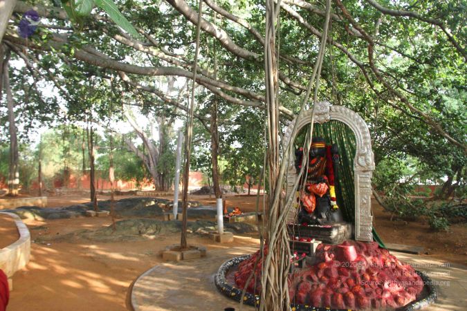 20130802 Photo 1183 1 axnu mA1cZQIFQwo7mepdbKZ Os9uqV.JPG