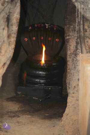 20130803 Photo 1019 1EGrpFv-7kwyBN65VLdx-mZz1 ihhCbtL.JPG