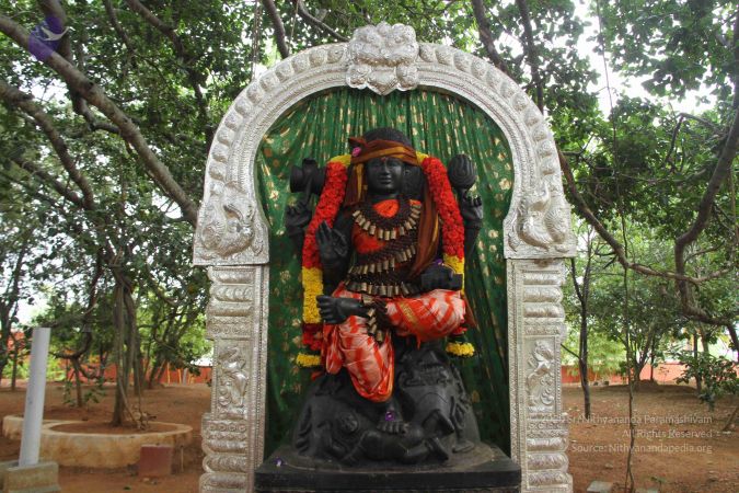 20130803 Photo 1038 1X1hal L3hYoVkdNbQ1ISx8ekFO7AYpSD.JPG