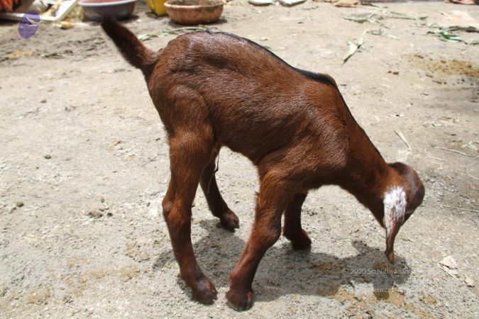 20130803 Photo 1137 1B-0rtQGpls0bXdzrVRtDQ2Mtwkt86d7G.JPG