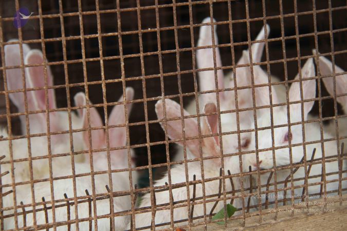 20130803 Photo 1189 1wJJZcIUK1DRntAwggqYF3sfz8XgJscHl.JPG