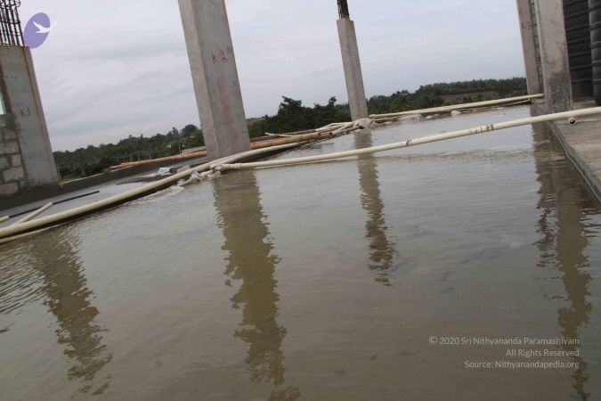 20130803 Photo 1195 1RM4XFLGfSw3oQyGnlbslJLIeZEtAYAUz.JPG