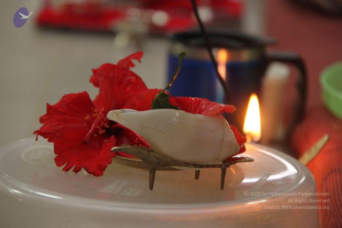 20130907 Photo 1022 1xLpTZsOgOfOKG6iF xpN8iEGoUgBPwfi.JPG